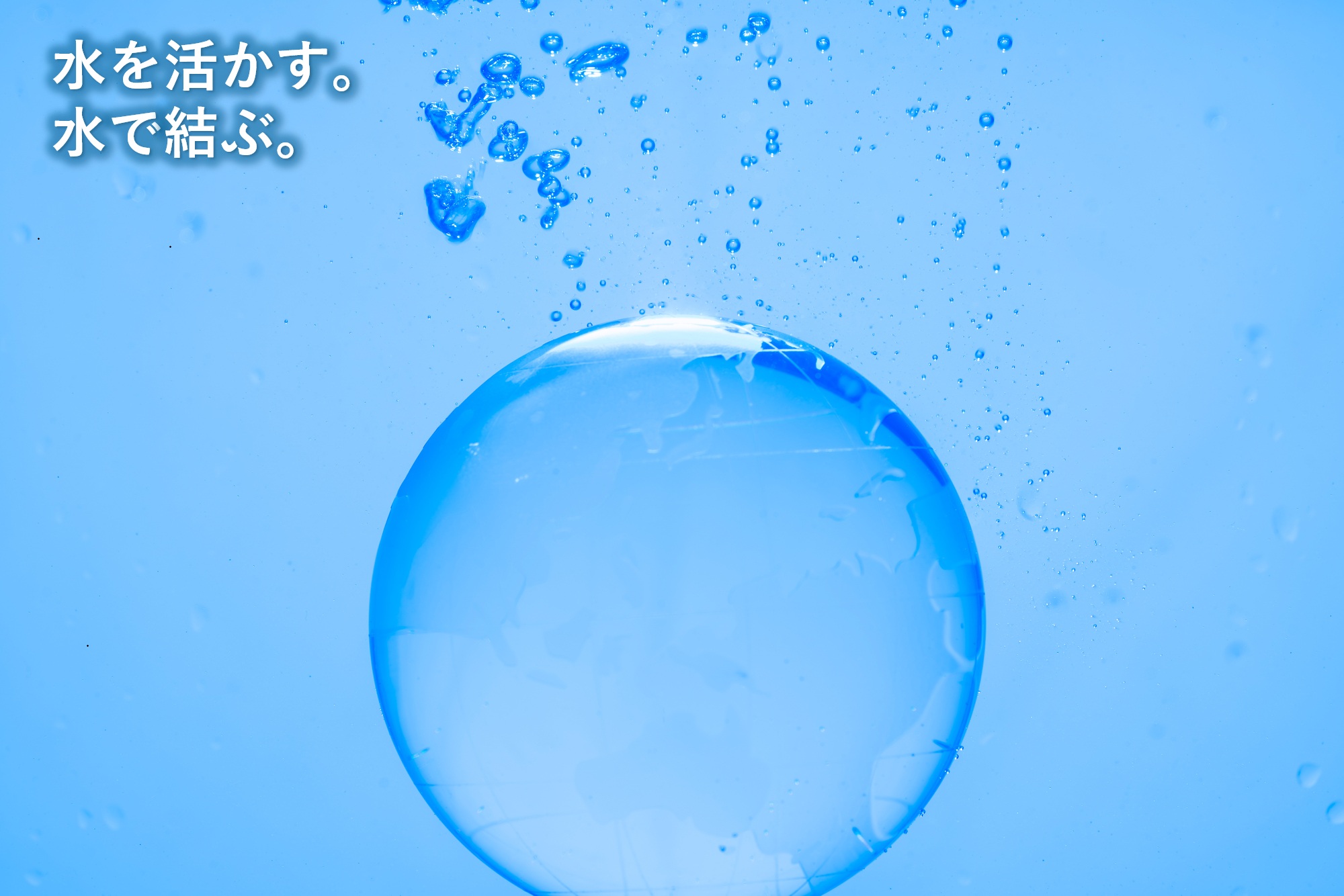 画像の説明